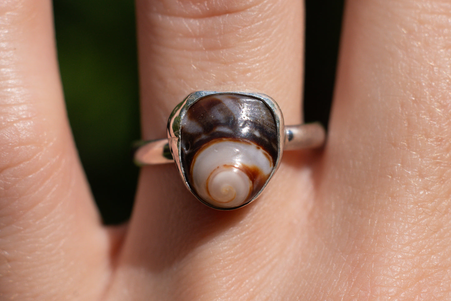 size 7.5 swirl shell